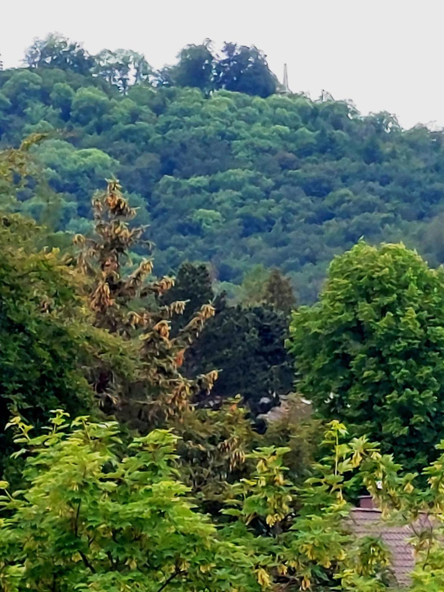Burgberg-Blick Διαμέρισμα Bad Harzburg Εξωτερικό φωτογραφία